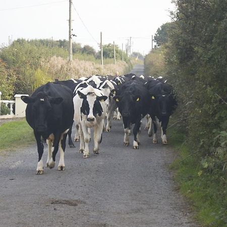 Ballylongford Greenfields Farmhouseヴィラ エクステリア 写真